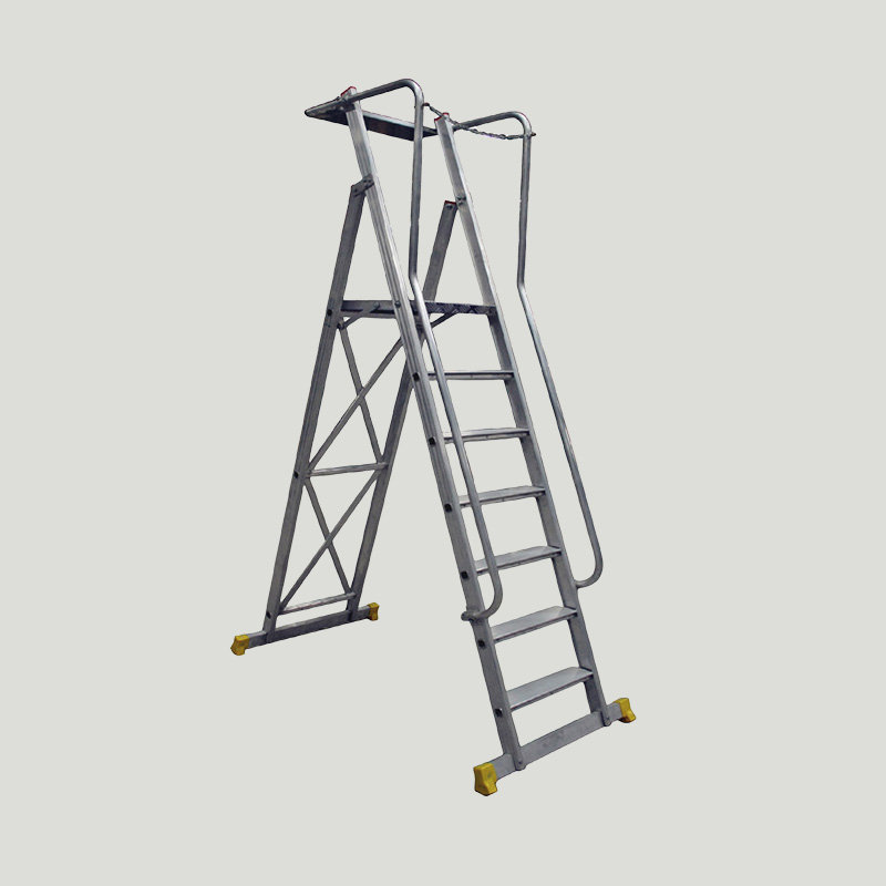Aluminum Ladder